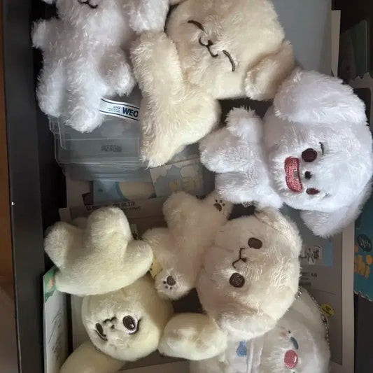 엔시티 정우 제노 인형