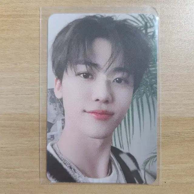 엔시티드림 핫소스 재민 포카