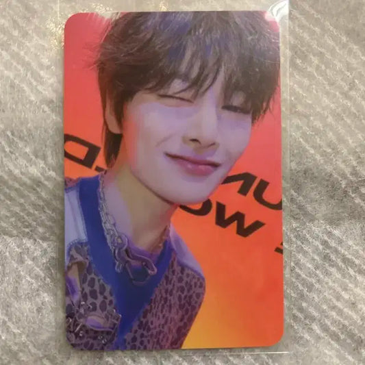 특 에버라인 아이엔 파이브스타 skz i.n s class 5 star