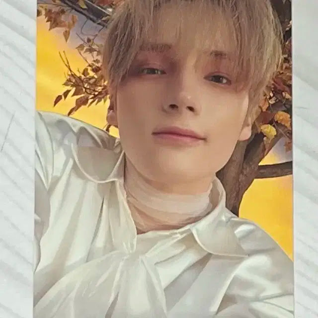 휴닝카이 미니소드3 포카 판매