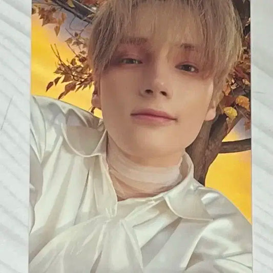 휴닝카이 미니소드3 포카 판매