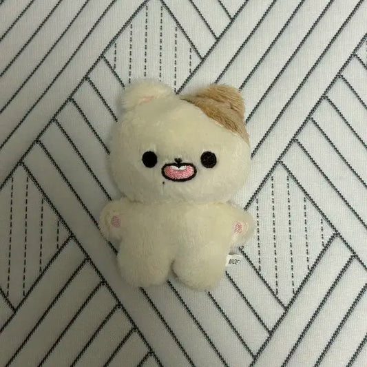 엔시티드림 지성 인형 콩쮜 양도