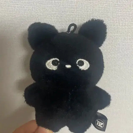 더보이즈 선우 제너레이션 인형 양도(포카포함)
