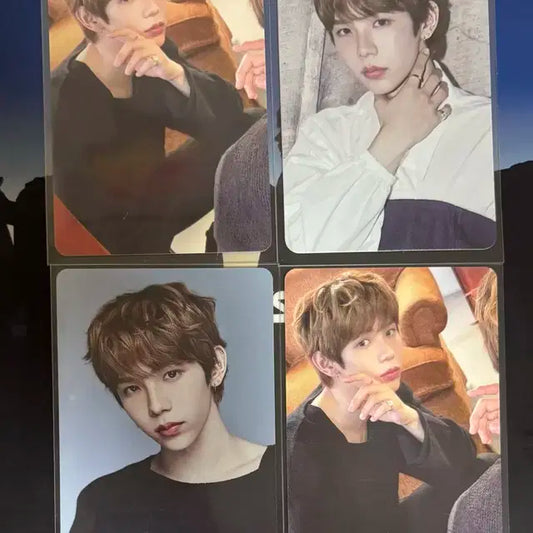 시그 트레카 쇼타로 포카 일괄 양도