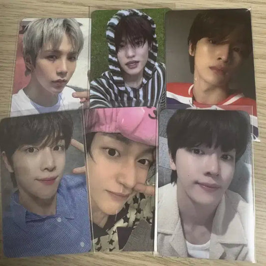 라이즈 포카 양도합니다