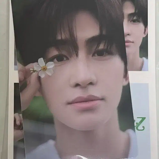 투어스 TWS 일본앨범 하지메마시떼 지훈 특전