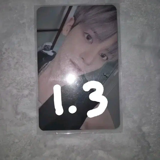 (공굿덤, 폭덤) 파오이 라자다 태현