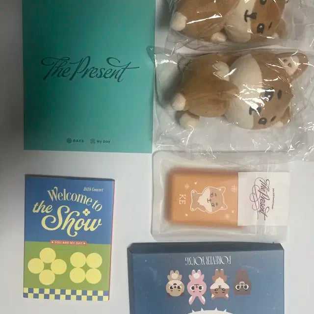 데이식스 굿즈 판매