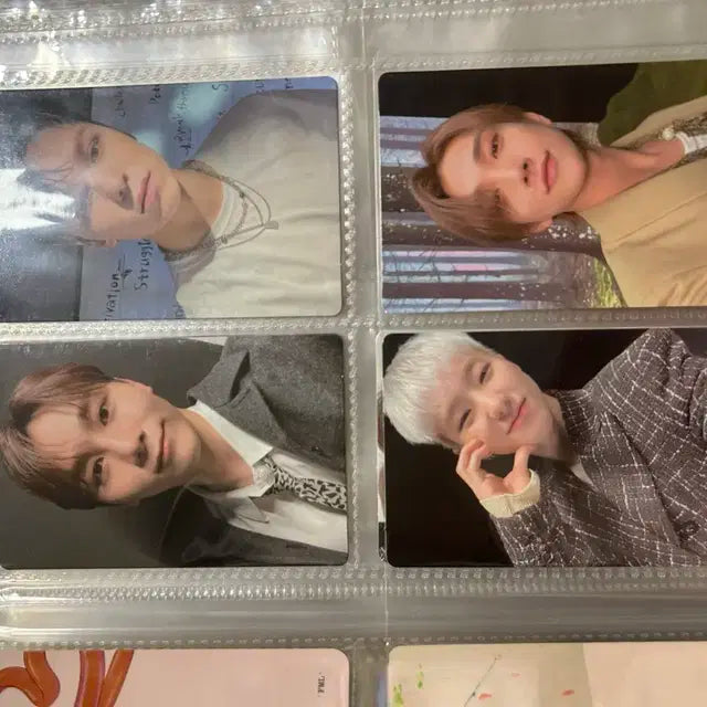 세븐틴 캐럿반 포카