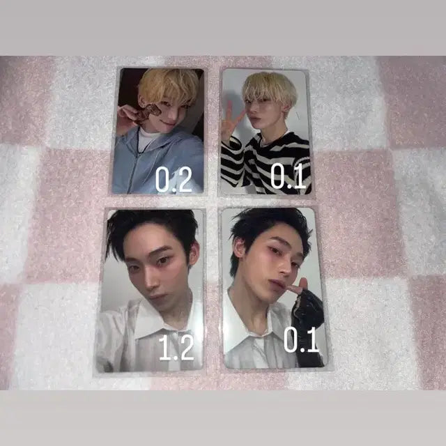 급처,사진 많음)엔하이픈 포카 양도