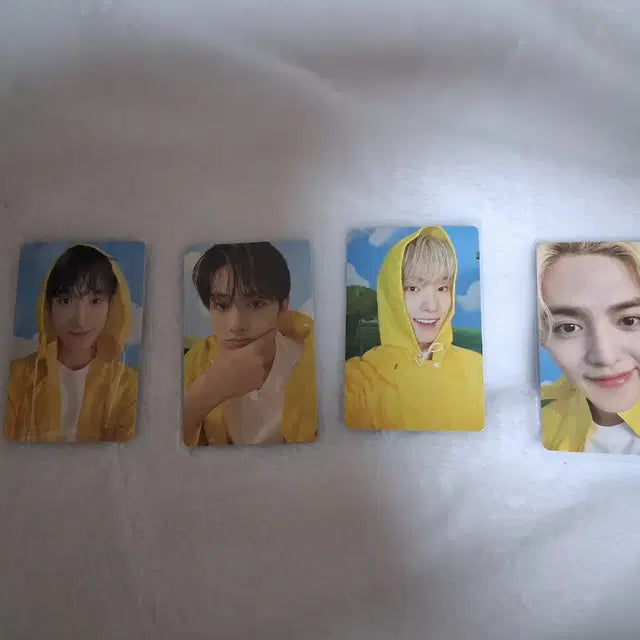 캐럿반 아타카 포카