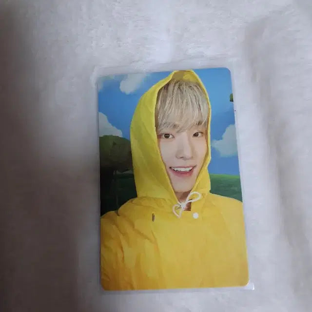 캐럿반 아타카 포카