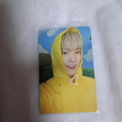 캐럿반 아타카 포카