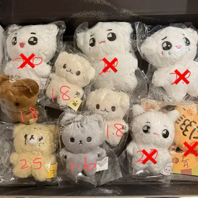 엔시티 인형 툥야 치타이 등
