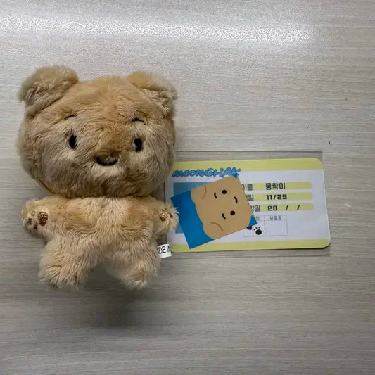 뭉학이 양도 보넥도 보이넥스트도어 운학 인형