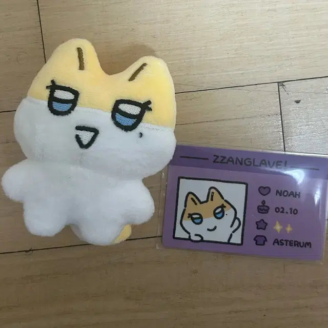 플레이브 비공식 (1차)짱레이브 노아