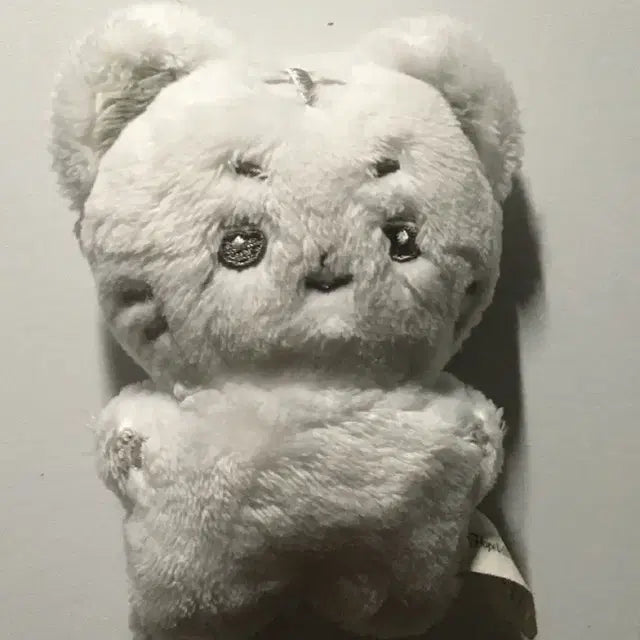 박건욱 인형(건뽀)