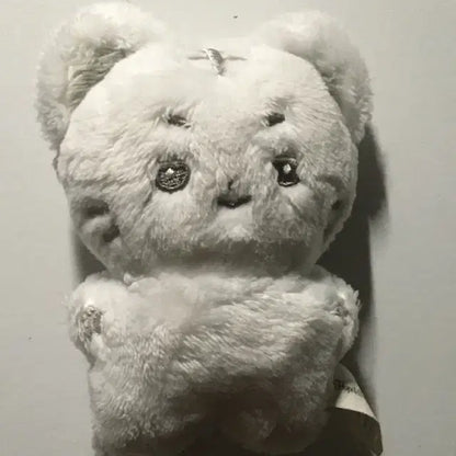 박건욱 인형(건뽀)