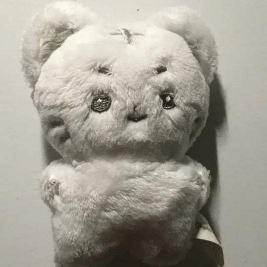 박건욱 인형(건뽀)