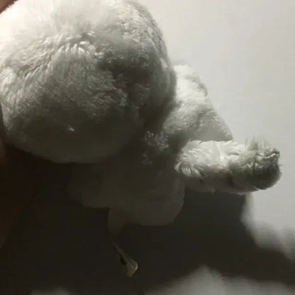 박건욱 인형(건뽀)