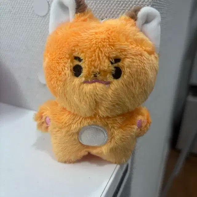 쭌콩이팝니다