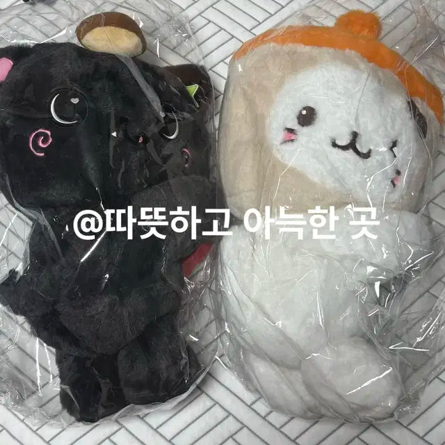 엔시티 위시 로그인 엠디 버블냥 쿠리 가방 위시돌