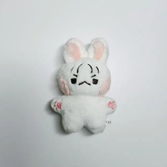 (택포/마지막가격내림)비투비 이창섭 10cm 인형 섭깽이 양도