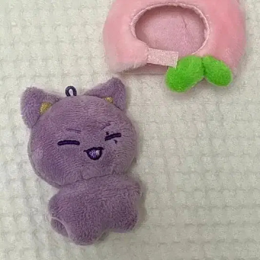 한정판)에이티즈 인형 판매 산인형 사니다요