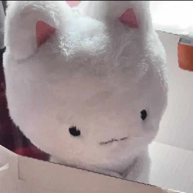더보이즈 주연 인형 쭈톨이 양도 판매
