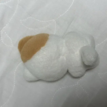엔하이픈 정원 인형 짱냥