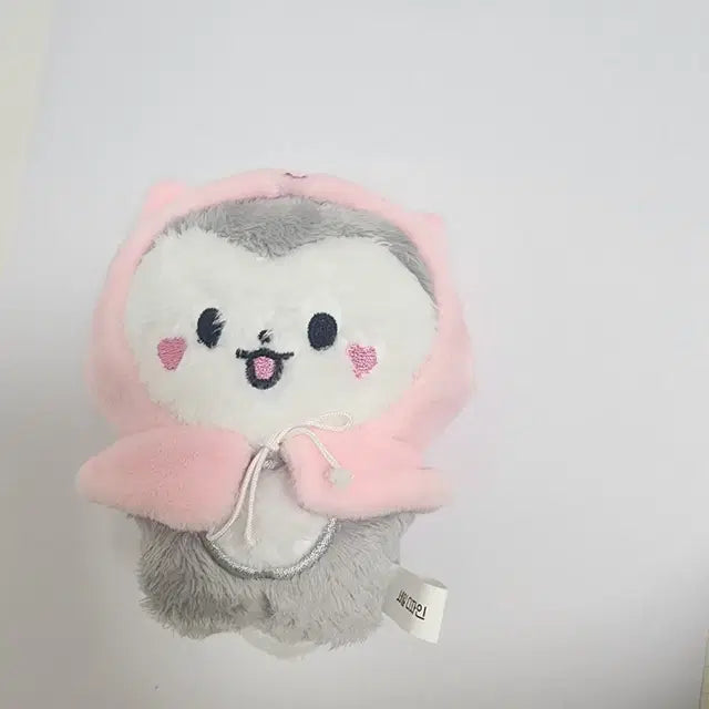 크래비티 세림 셂댕이 양도