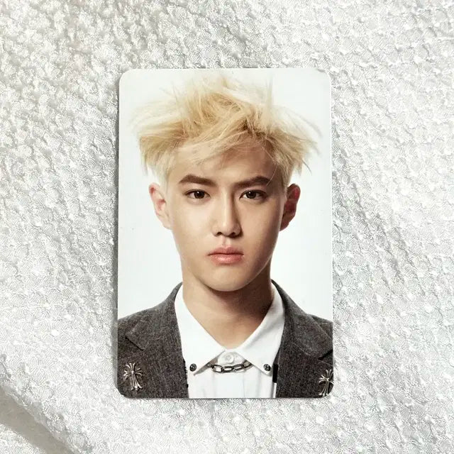 일괄) 엑소 수호 중독포카 인형 베돌며니 면숭아 exo doll suho