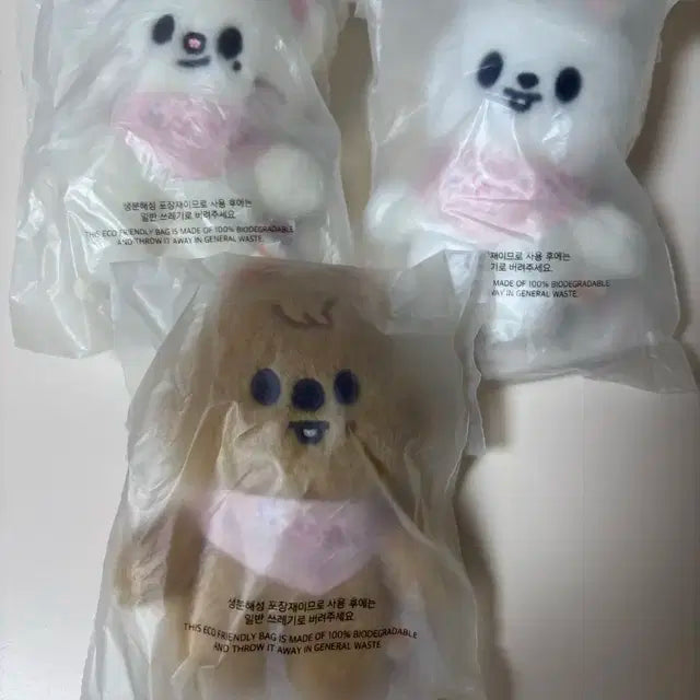 스키주 콩키주 새상품 양도 합니다