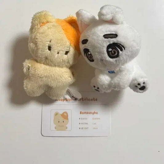 보넥도 성호 이한 인형 양도해요