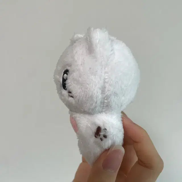 제로베이스원 성한빈 10cm 인형 햄냥빈 양도 제베원 비공식 원가이하