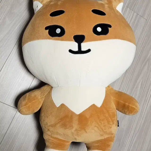 데이식스 자이언트 데니멀즈 케 영케이 양도