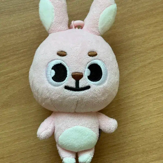 !!가격내림!! 데이식스 데니멀즈 20 필 원필