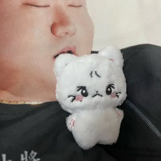 엔하이픈 양정원 인형입니다(솜정원)