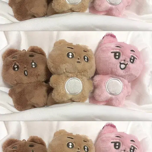 뽀바투 뽀송텬 양도 판매 *최저가 원가!!*