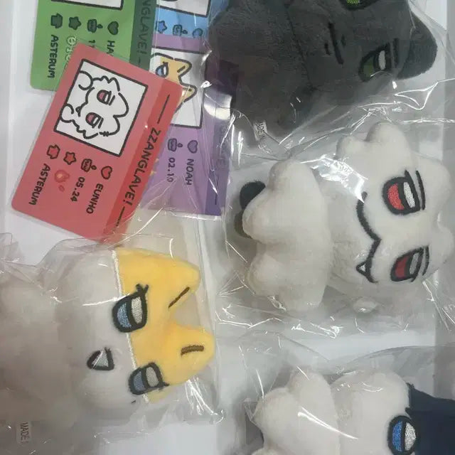 짱레이브