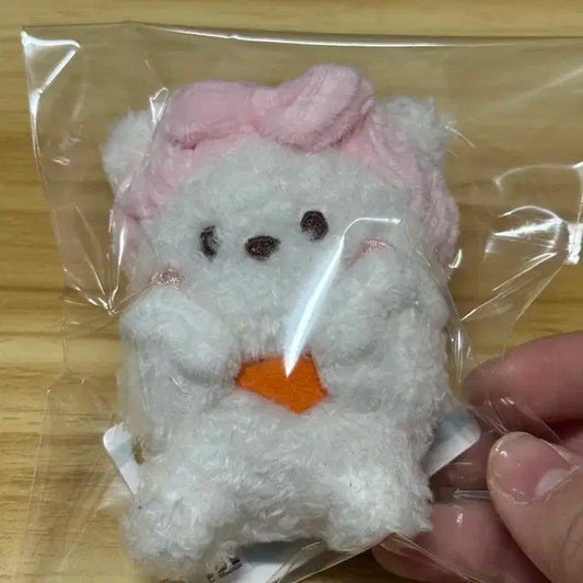 bt21 미니니 배쓰밤 알제이 인형