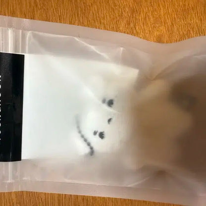 더보이즈 영훈 주연 주학년 인형 제너레이션 마물쭈
