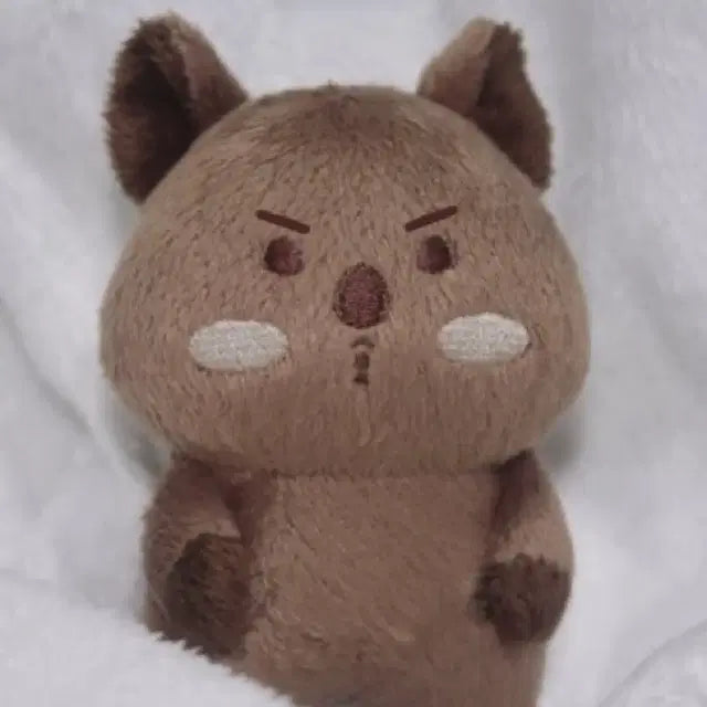 몬스타엑스 셔누 인형 션쿼카 부릅이 몽실이