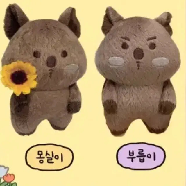 몬스타엑스 셔누 인형 션쿼카 부릅이 몽실이