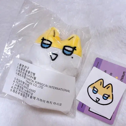 플레이브 짱레이브 노아