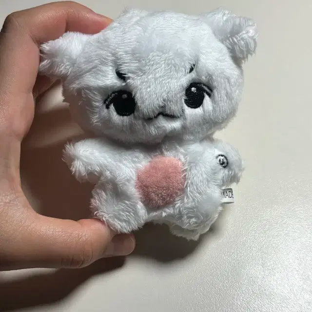 챠니쮸