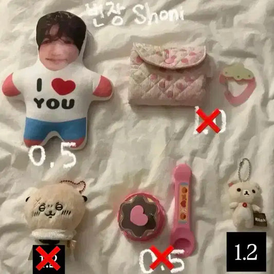 엔시티 위시 시온 테무 인형 치이카와 랏코 코리락쿠마 인형 키링