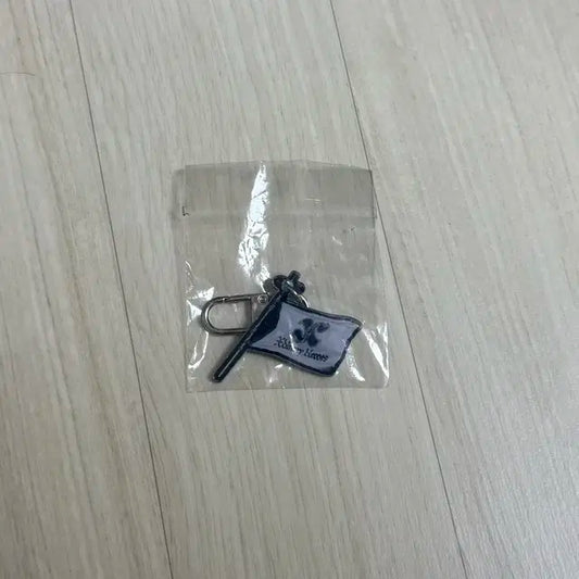 엑디즈 빌런즈부스 깃발키링양도
