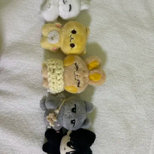 (안 팔려서 가격 내림) 세븐틴 인형 일괄 판매