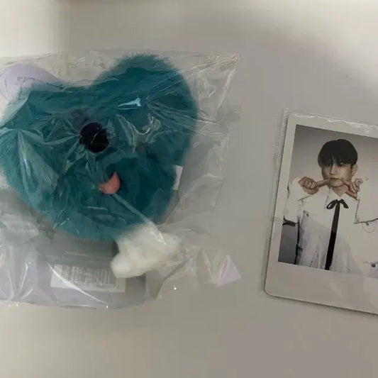 더보이즈 큐 엠디 공식 인형